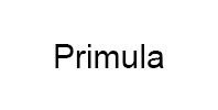 Ремонт кофемашины модели Primula в Климовске Ремонт кофемашин Primula